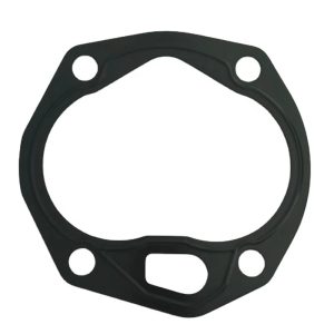 Travel Pump Gasket 231199 920391.001 800811290