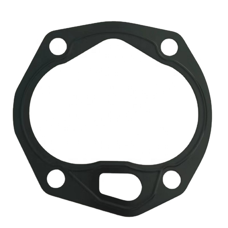 Travel Pump Gasket 231199 920391.001 800811290