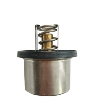 engine coolant thermostat 923705.0502