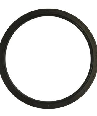Power Steering Oil Seal 920598.0002